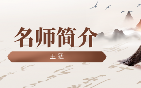 王猛简介_王猛注安讲的好不好？