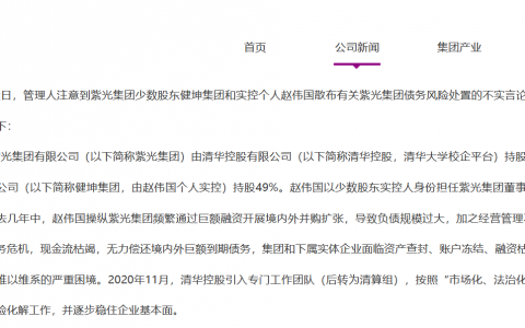 紫光集团称坚决反对赵伟国个人言行（散发不实言论）
