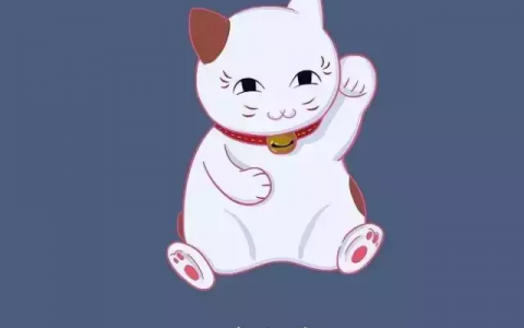 投资利润率的计算公式（投资利润率怎么算）