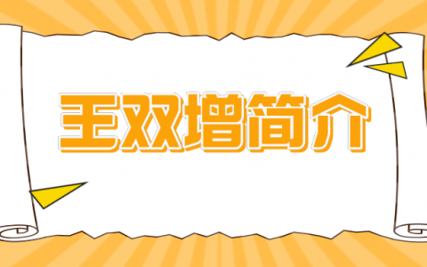 王双增简介（王双增造价案例讲得怎么样）