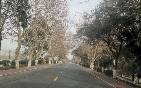 教师资格证面试水太深（教师资格证面试有多难）