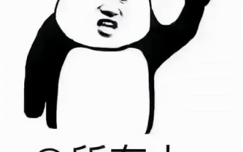 二建需要社保的省份有那些（二建这些省份需要社保证明）