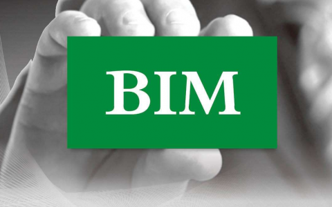 什么是bim工程师（bim工程师好考吗）