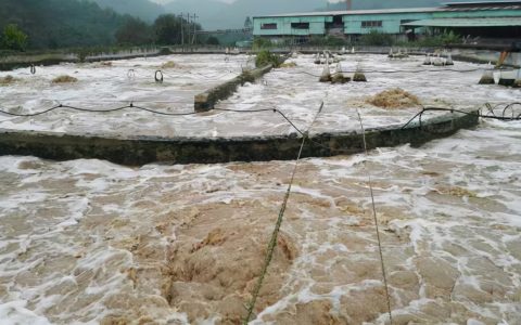 污水排放标准最新（污水排放检测项目和标准）