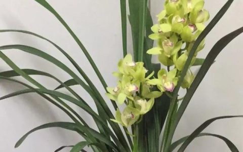 建筑类的证书哪些比较容易考（什么证书好考又有用含金量高）