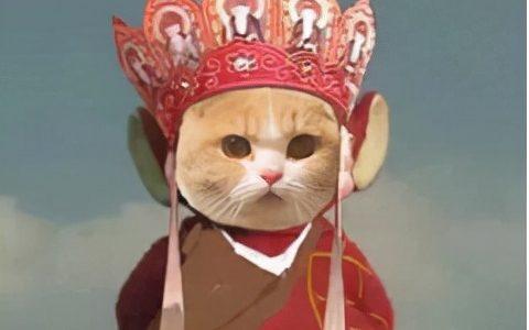 二建是看书还是看视频（二建备考要不要买教材）