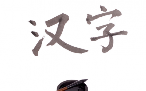 什么不什么什么成语大全四个字