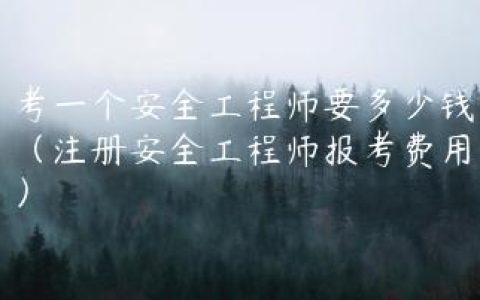考一个安全工程师要多少钱（注册安全工程师报考费用）
