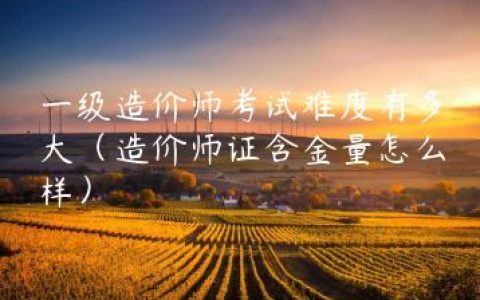 一级造价师考试难度有多大（造价师证含金量怎么样）