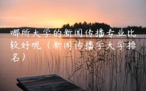 哪所大学的新闻传播专业比较好呢（新闻传播学大学排名）