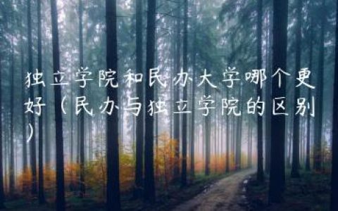 独立学院和民办大学哪个更好（民办与独立学院的区别）