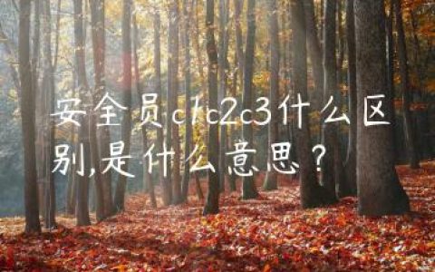 安全员c1c2c3什么区别,是什么意思？