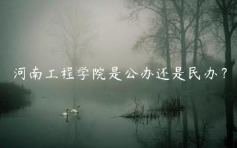 河南工程学院是公办还是民办？