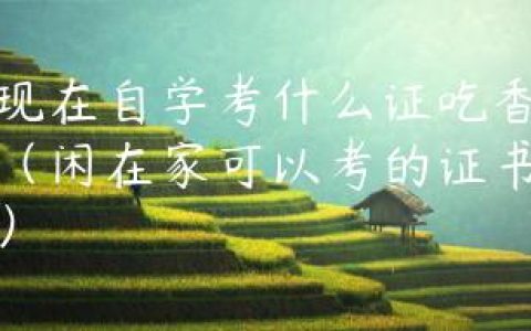 现在自学考什么证吃香（闲在家可以考的证书）