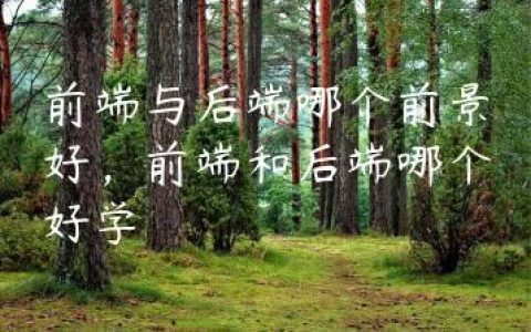 前端与后端哪个前景好，前端和后端哪个好学