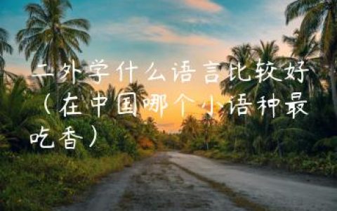 二外学什么语言比较好（在中国哪个小语种最吃香）