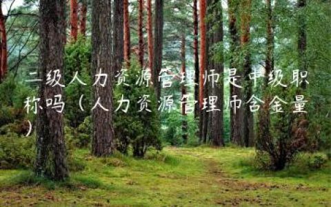 二级人力资源管理师是中级职称吗（人力资源管理师含金量）