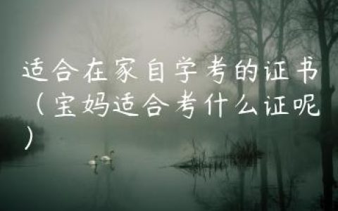 适合在家自学考的证书（宝妈适合考什么证呢）