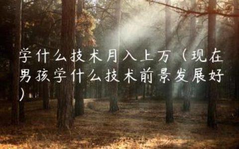 学什么技术月入上万（现在男孩学什么技术前景发展好）