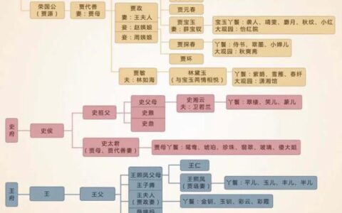 红楼梦人物关系图（红楼梦重点人物关系）