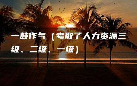一鼓作气（考取了人力资源三级、二级、一级）