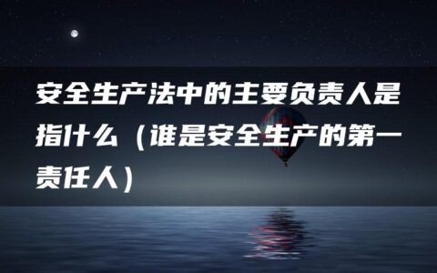 安全生产法中的主要负责人是指什么（谁是安全生产的第一责任人）