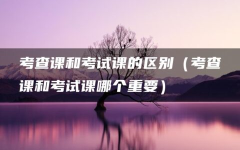 考查课和考试课的区别（考查课和考试课哪个重要）