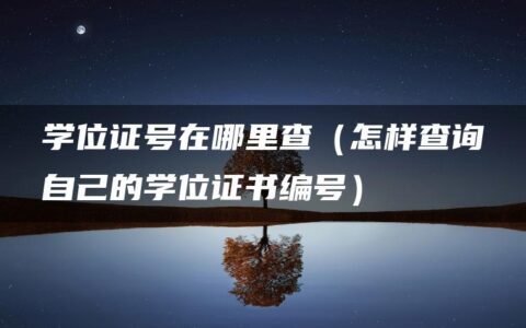 学位证号在哪里查（怎样查询自己的学位证书编号）