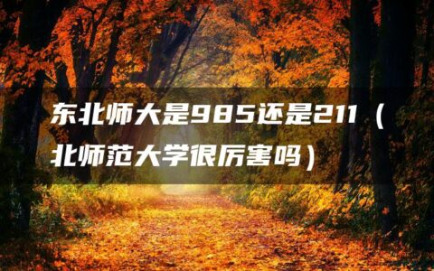 东北师大是985还是211（北师范大学很厉害吗）