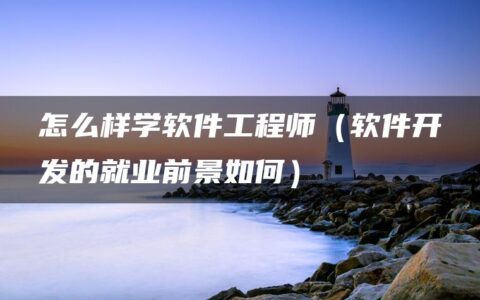 怎么样学软件工程师（软件开发的就业前景如何）