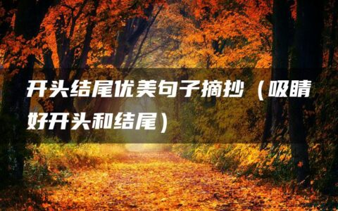 开头结尾优美句子摘抄（吸睛好开头和结尾）