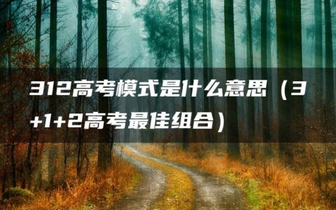 312高考模式是什么意思（3+1+2高考最佳组合）
