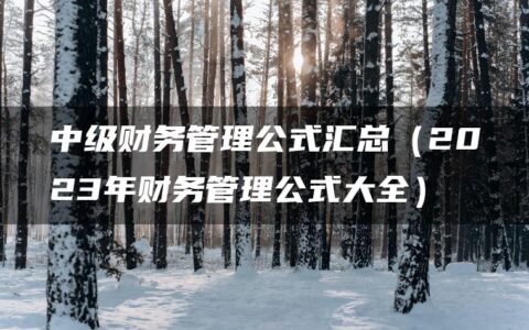中级财务管理公式汇总（2023年财务管理公式大全）