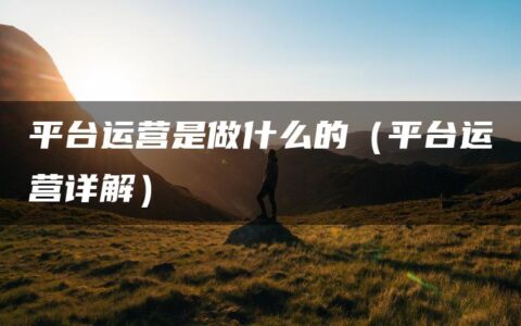 平台运营是做什么的（平台运营详解）