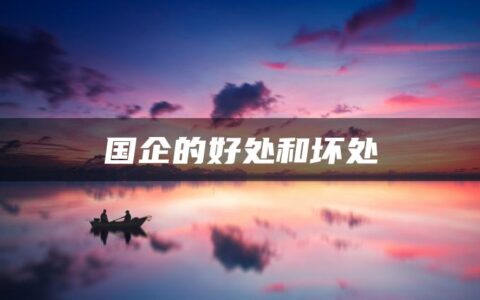 国企的好处和坏处