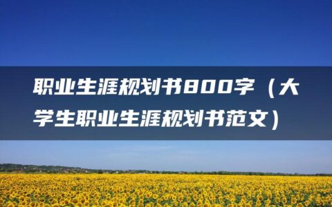 职业生涯规划书800字（大学生职业生涯规划书范文）