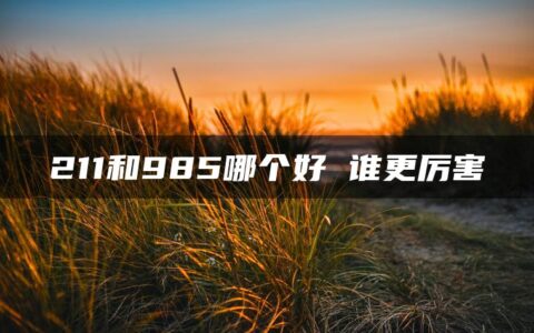 211和985哪个好 谁更厉害