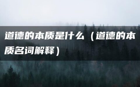 道德的本质是什么（道德的本质名词解释）