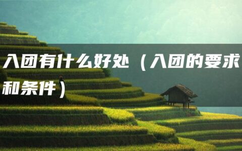 入团有什么好处（入团的要求和条件）