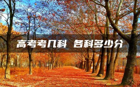 高考考几科 各科多少分