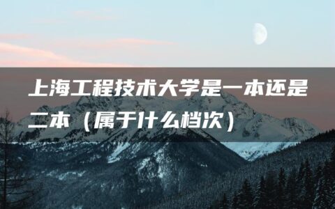 上海工程技术大学是一本还是二本（属于什么档次）