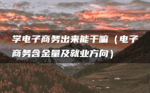 学电子商务出来能干嘛（电子商务含金量及就业方向）