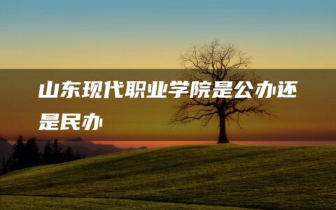 山东现代职业学院是公办还是民办