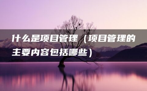 什么是项目管理（项目管理的主要内容包括哪些）