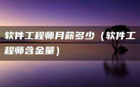 软件工程师月薪多少（软件工程师含金量）