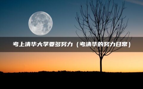 考上清华大学要多努力（考清华的努力日常）