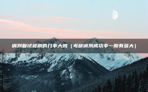 调剂复试被刷的几率大吗（考研调剂成功率一般有多大）