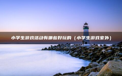 小学生游戏活动有哪些好玩的（小学生游戏室外）
