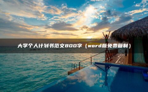 大学个人计划书范文800字（word版免费复制）