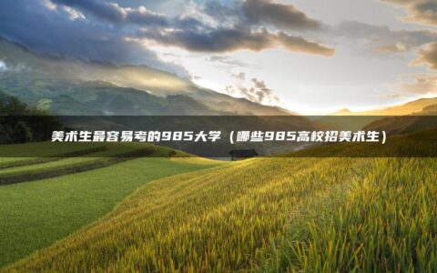 美术生最容易考的985大学（哪些985高校招美术生）